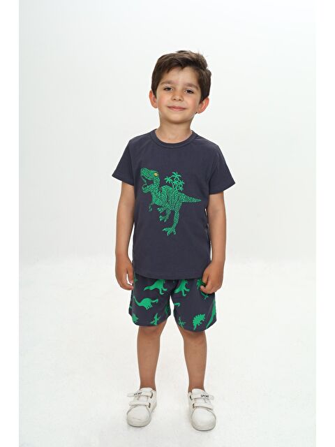 Toontoykids Erkek Çocuk Kabaran Dinozor Baskılı Şortlu Takım - S000393908-29666