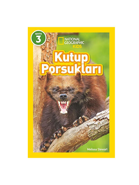 Beta Kids Kutup Porsukları National Geographic Kids Seviye 3 - S000339013-10231