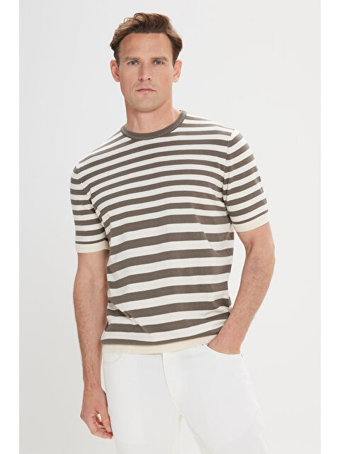 AC&Co / Altınyıldız Classics Erkek Haki-Bej %100 Pamuk Normal Kesim Bisiklet Yaka Çizgili Triko Tişört - S000512383-250