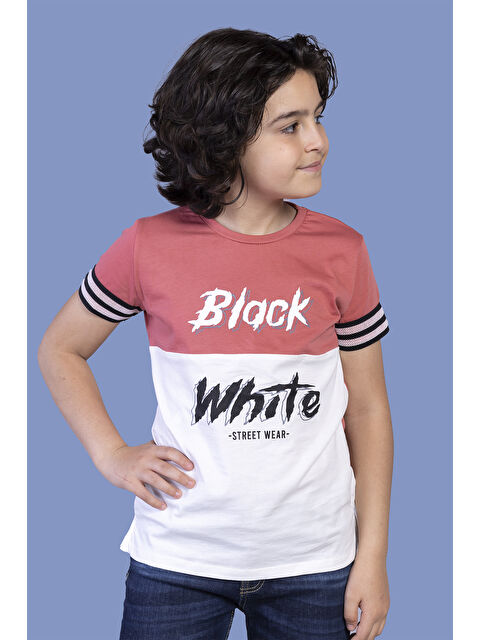 Toontoykids Erkek Çocuk Kolları Şerit Detaylı İki Renkli Baskılı Tişört - S000417892-20048