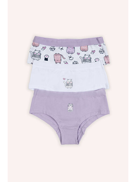 Panço Kız Çocuk Renkli 3'lü Hipster Külot - İç Giyim - S000510628-23173