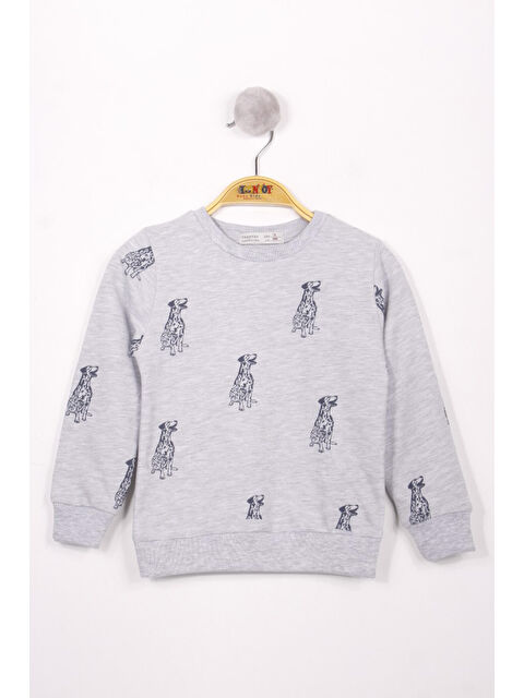 Toontoykids Erkek Çocuk Köpek Baskılı Sweatshirt - S000374986-74