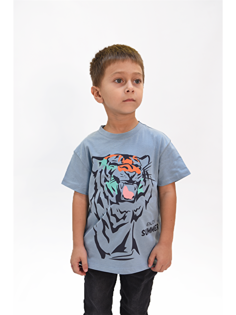 Luess Erkek Çocuk Kaplan Baskılı Tshirt - S000137137-17234