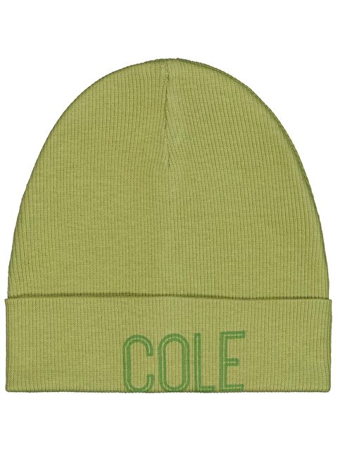 Civil Baby Cole Baskılı Bebe Şapka Bere ve Setler - Yeşil Standart - S000503462-18194