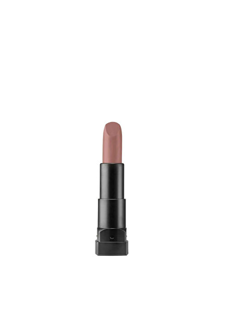 Pastel Pro Fashion Matte Lipstick 4.3g No590 - S000327056-33408