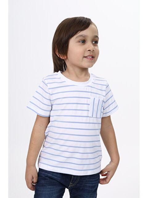 Toontoykids Erkek Çocuk Çizgili Tişört - S000417608-37233