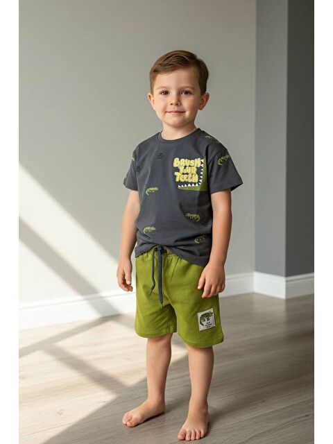 Monila Erkek Çocuk Pamuklu Yeşil Timsah Baskılı T-Shirt Ve Şort 2'Li Takım - S000515744-18194