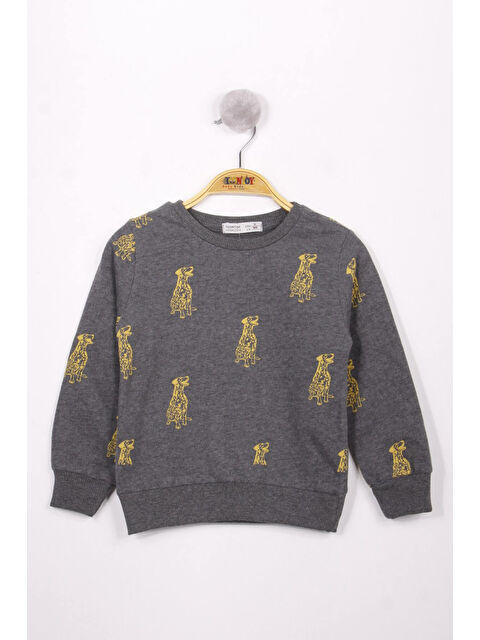 Toontoykids Erkek Çocuk Köpek Baskılı Sweatshirt - S000374986-29666