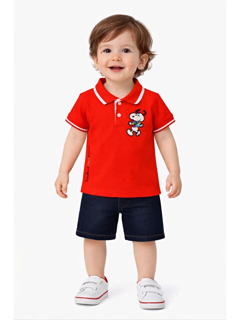 Chicsy Baby Erkek bebek pamuklu polo takım pantolon üst ikili takım