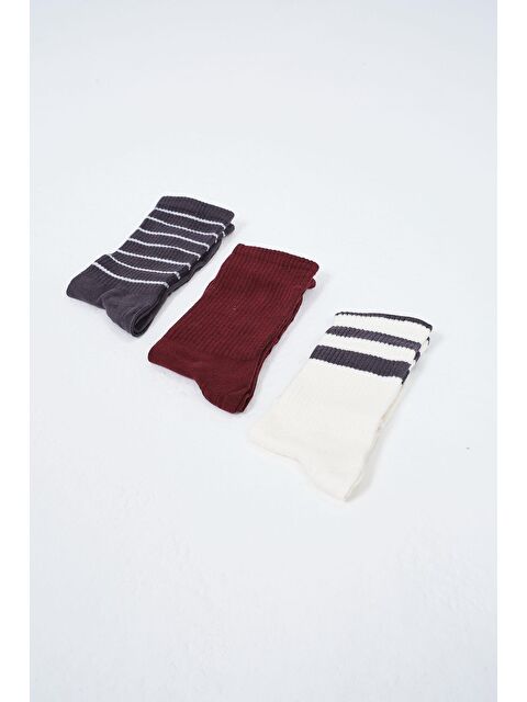 C&City Erkek Çizgili Uzun 3'Lü Soket Çorap Seti Patlıcan Mor - S000220257-20040