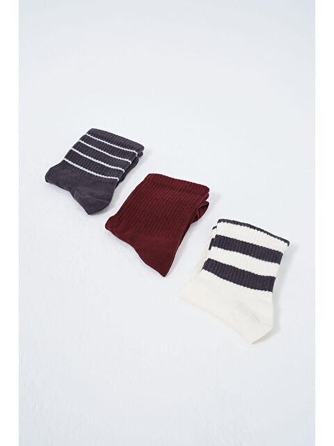C&City Erkek Çizgili Kısa 3'lü Soket Çorap Seti Patlıcan Mor - S000220256-20040