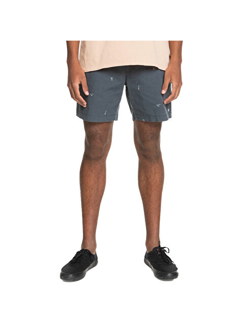 Quiksilver Erkek Pike Kısa Şort - S000527755-20600