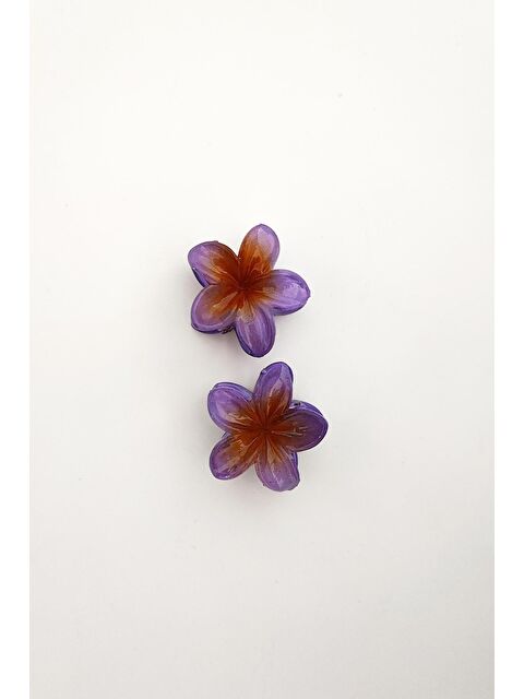 New Obsessions Mini Hibiscus Lüks Asetat Çiçek Mandal Toka Mini Boy 2'li paket - S000189427-20042