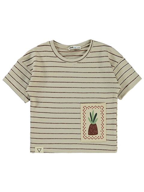 Civil Boys Çizgii Ananas Nakışlı 2-5 Yaş Tişört