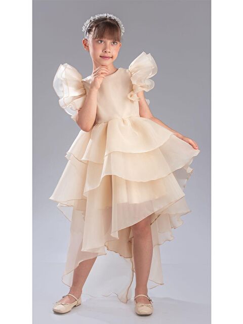 Mnk Baby & Kids Kız Çocuk Kuyruklu , Taçlı Vragia Abiye Elbise M00745 - S000424602-19966