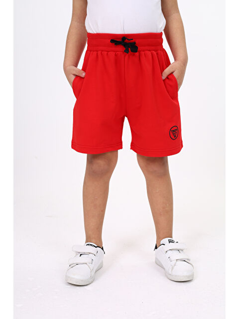 Toontoykids Erkek Çocuk Baskılı Şort - S000361668-20045