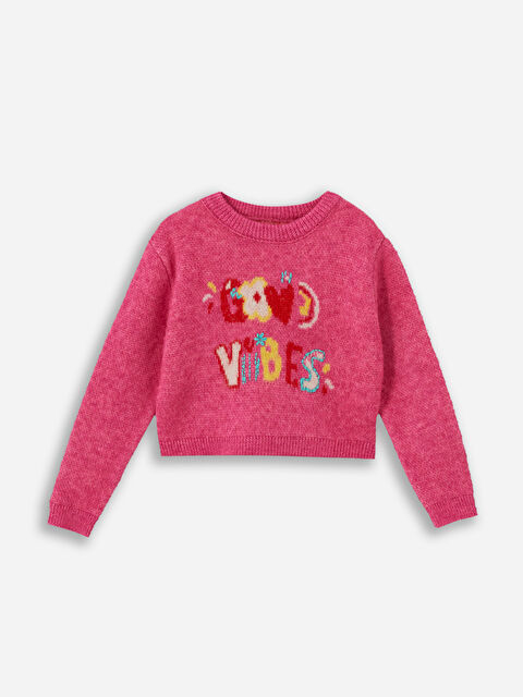 Dexia Floral Text - Bisiklet Yaka Yazı Detaylı Triko Kazak  - Pembe Renk - S000331851-20024