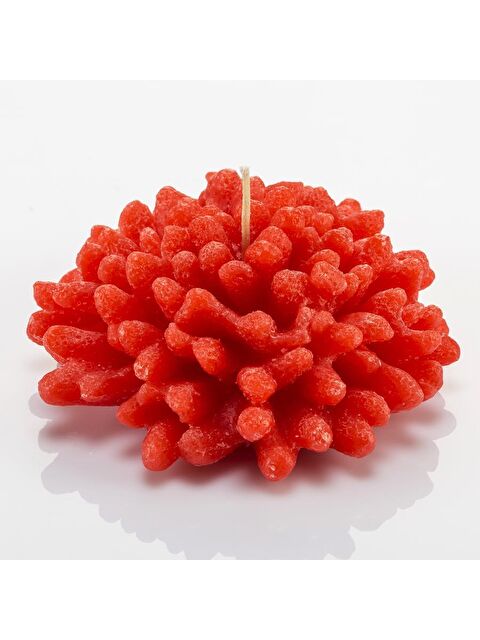 Missi Dekoratif Marin  Kırmızı Mercan Mum - S000241382-20045