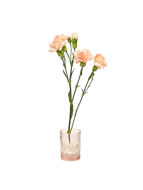 Missi Flora Design-Minimal Pembe Kesme Cam Vazo - S000504476-37323