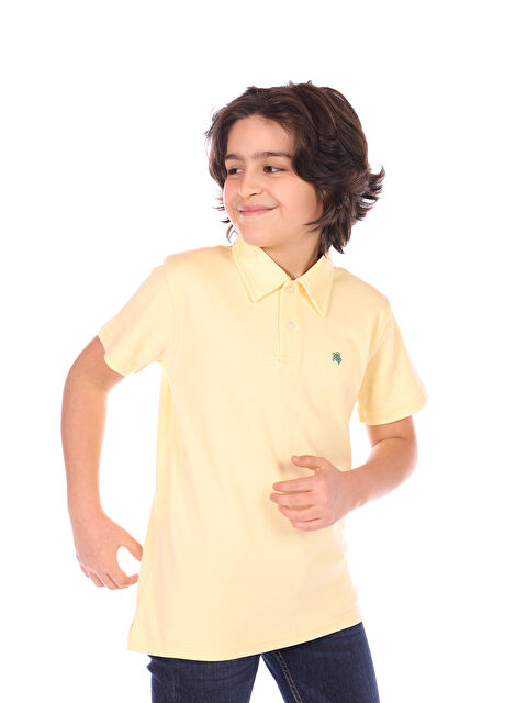 Toontoykids Erkek Çocuk Polo Yaka Tişört - S000378382-20072