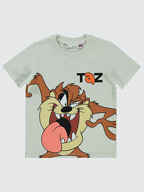 Civil Tazmanya Erkek Çocuk Tişört 2-5 Yaş Açık Gri