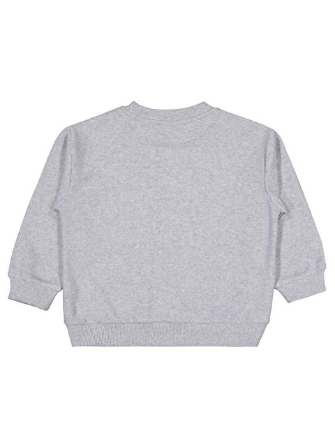 Civil Erkek Çocuk Basic Selanik 2-5 Yaş Sweatshirt - S000483237-20600