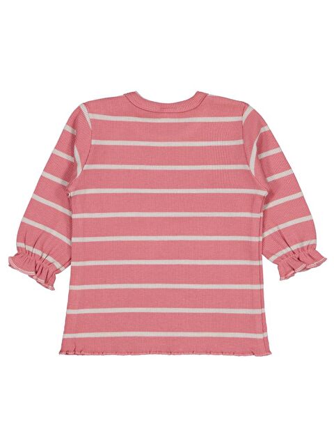 Civil Bebek Çizgili 6-18 Ay Sweatshirt - S000484322-18657