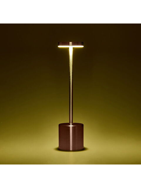 Petrix Dekoratif Şarjlı Dokunmatik Masa Lambası - Rose - 31 cm - S000475638-20024