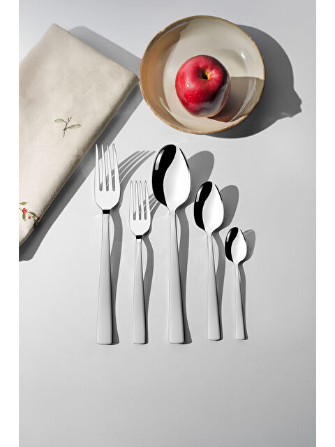 Nehir Deniz Saten 6 Kişilik 30 Parça Kutulu Çatal Kaşık Takımı - S000515175-18105