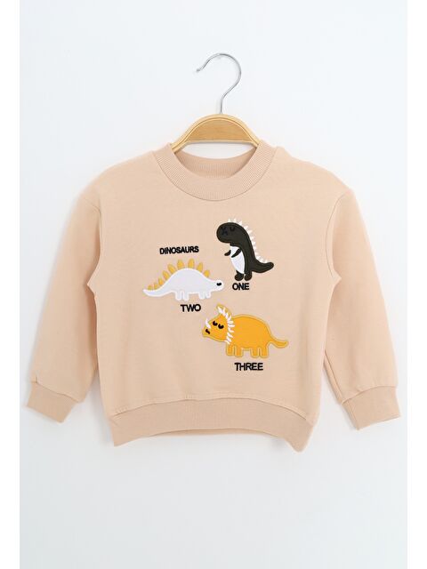 Toontoykids Erkek Çocuk Relax Fit Bisiklet Yaka Hafif Düşük Omuz Nakışlı Sweatshirt - S000491692-19928