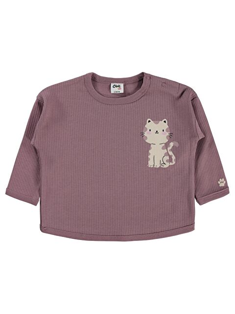 Civil Baby Oturan Kedi Baskılı 6-18 Ay Sweatshirt - Kahve 12-18 Ay - S000526619-19413