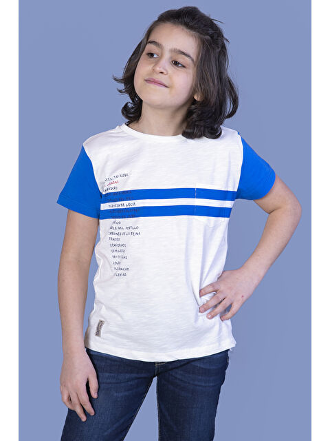 Toontoykids Erkek Çocuk Çizgili Baskılı Tişört - S000359731-19965