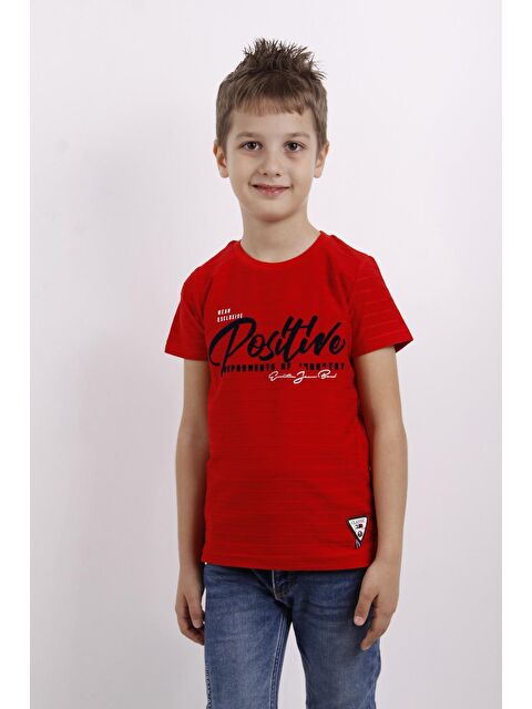 Toontoykids Erkek Çocuk Flok Baskılı Örgülü Tişört - S000250885-20045