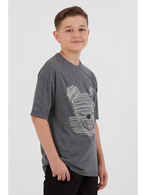 Fullamoda Ayıcık Baskılı Bisiklet Yaka Erkek Çocuk Tişört - S000395634-29666