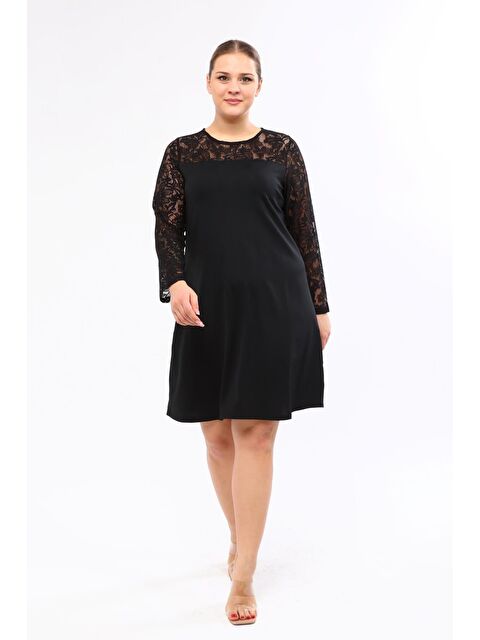 Mylinemoda Omuzu Ve Kolları Dantelli Elbise - S000239487-19351