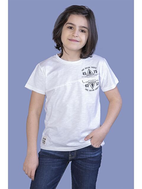 Toontoykids Erkek Çocuk Çizgili Cepli Tişört - S000250880-19965