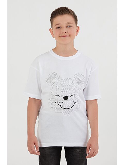Fullamoda Ayıcık Baskılı Bisiklet Yaka Erkek Çocuk Tişört - S000395634-20063
