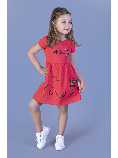 Toontoykids Kız Çocuk Nakışlı Çift Taraflı Pul İşlemeli Elbise - S000420093-20048