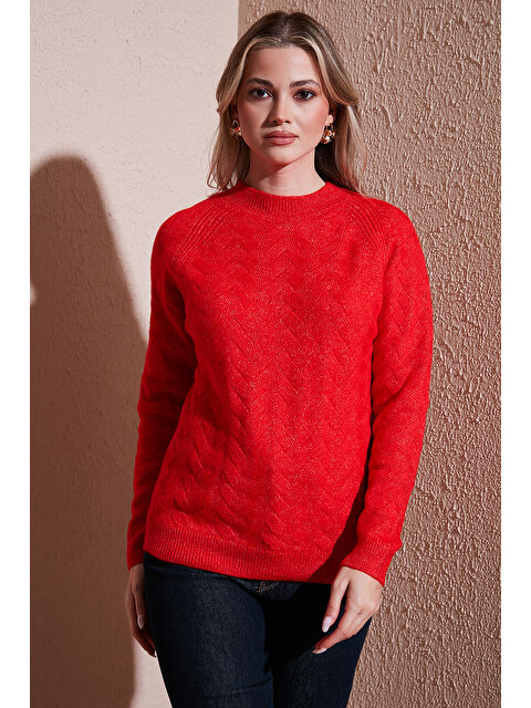 Fashion Friends Regular Fit Dik Yaka Örme Kazak 25K0069K1 - S000485317-20045