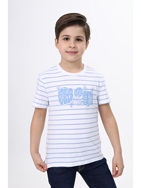 Toontoykids Erkek Çocuk Çizgili Tişört - S000343533-20036