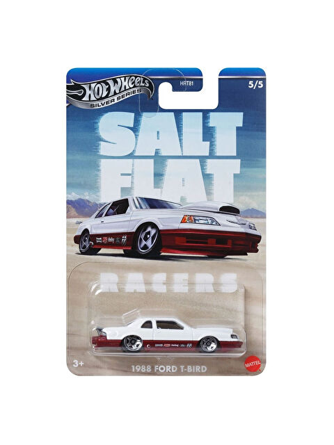 Hot Wheels Vintage Temalı Arabalar HRT81-JBY85 - S000344796-10231
