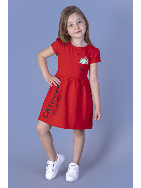 Toontoykids Kız Çocuk Cebi Meow Nakışlı Taş İşlemeli Baskılı Elbise - S000420110-20045