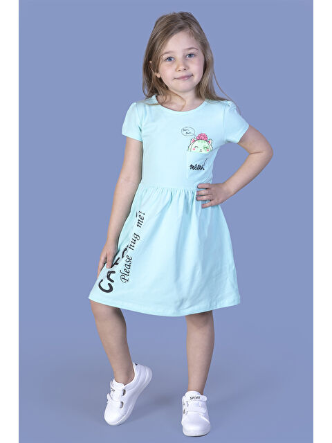 Toontoykids Kız Çocuk Cebi Meow Nakışlı Taş İşlemeli Baskılı Elbise - S000420110-20055