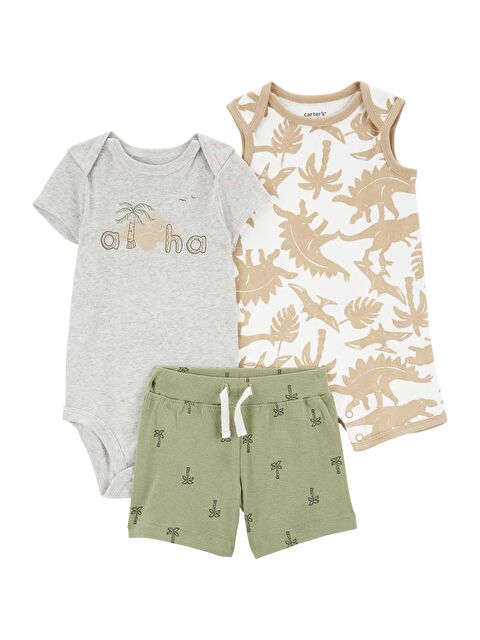 Carter's Erkek Bebek 3Lü Set - S000388505-23173