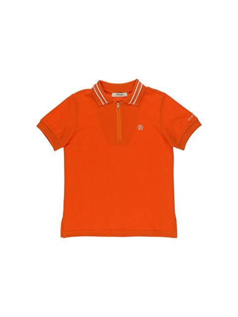 Panço Erkek Çocuk Polo Yaka Çizgili Kısa Kollu Tişört - S000265093-20013