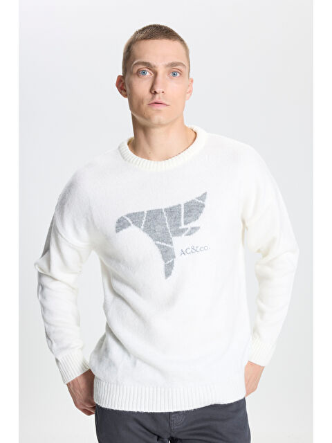 AC&Co / Altınyıldız Classics Erkek Ekru Oversize Bol Kesim Bisiklet Yaka Desenli Triko Kazak - S000394587-19965