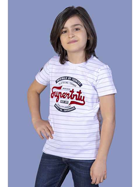 Toontoykids Erkek Çocuk Çizgili Tişört - S000359727-21164