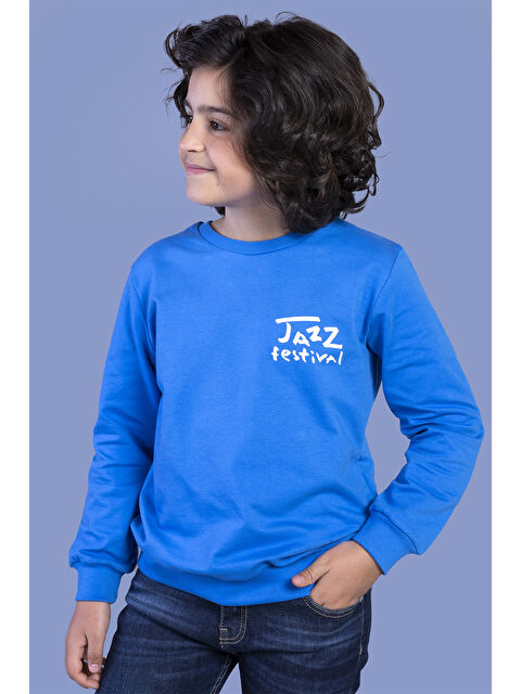 Toontoykids Erkek Çocuk Baskılı Sweatshirt - S000273731-23710