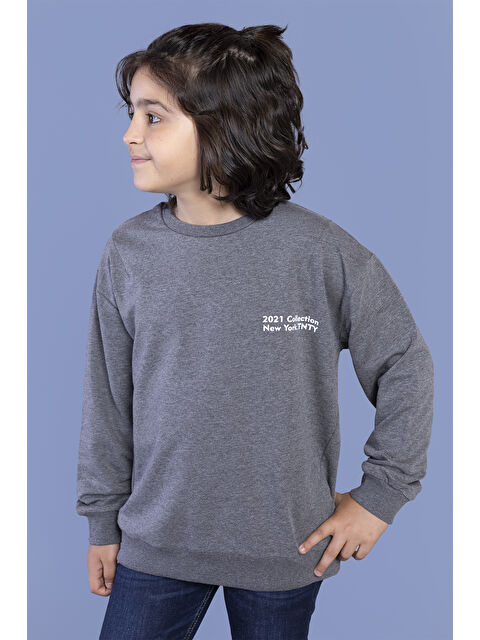Toontoykids Erkek Çocuk Baskılı Sweatshirt - S000273733-29666
