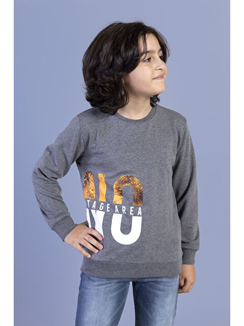 Toontoykids Erkek Çocuk  Baskılı Sweatshirt - S000273736-29666